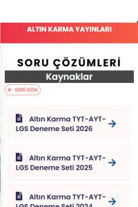 Altın Karma Video Çözüm film posteri