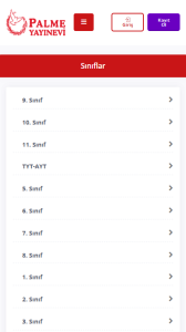 Palme Yayınları Video Çözüm film posteri